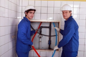 Professional services