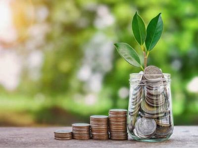 Jar of coins with a sprouting plant, symbolizing savings and investment benefits related to energy-efficient HVAC upgrades.